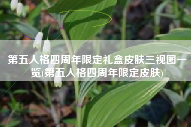 第五人格四周年限定礼盒皮肤三视图一览(第五人格四周年限定皮肤)
