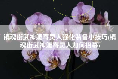 镇魂街武神躯寄灵人强化装备小技巧(镇魂街武神躯寄灵人如何招募)