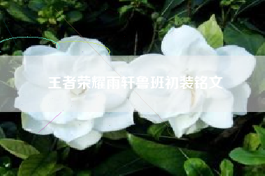 王者荣耀雨轩鲁班初装铭文