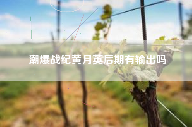 潮爆战纪黄月英后期有输出吗