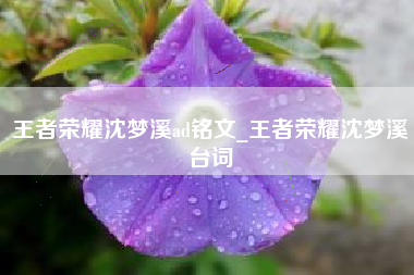 王者荣耀沈梦溪ad铭文_王者荣耀沈梦溪台词