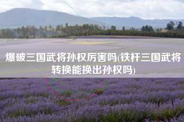 爆破三国武将孙权厉害吗(铁杆三国武将转换能换出孙权吗)