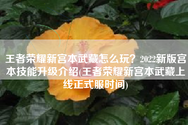 王者荣耀新宫本武藏怎么玩？2022新版宫本技能升级介绍(王者荣耀新宫本武藏上线正式服时间)
