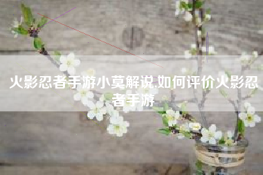 火影忍者手游小莫解说,如何评价火影忍者手游