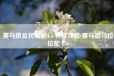 赛马娘贫民低配A+养成攻略(赛马娘乌拉拉配卡)