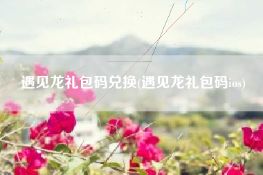遇见龙礼包码兑换(遇见龙礼包码ios)