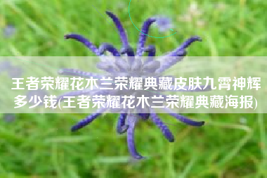 王者荣耀花木兰荣耀典藏皮肤九霄神辉多少钱(王者荣耀花木兰荣耀典藏海报)