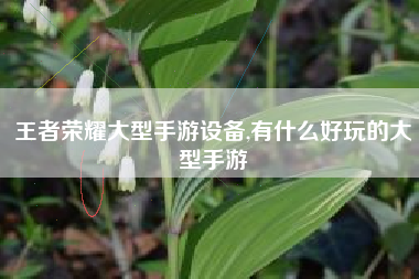 王者荣耀大型手游设备,有什么好玩的大型手游