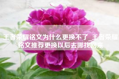 王者荣耀铭文为什么更换不了_王者荣耀铭文推荐更换以后去哪找回来