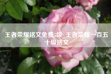 王者荣耀铭文免费5级_王者荣耀一百五十级铭文