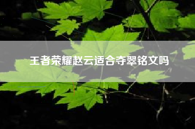 王者荣耀赵云适合夺翠铭文吗