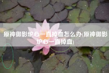 原神御影炉心一直掉血怎么办(原神御影炉心一直掉血)