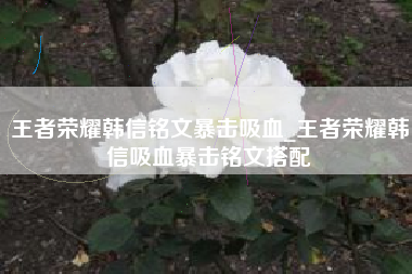 王者荣耀韩信铭文暴击吸血_王者荣耀韩信吸血暴击铭文搭配