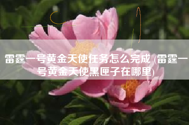 雷霆一号黄金天使任务怎么完成 (雷霆一号黄金天使黑匣子在哪里)