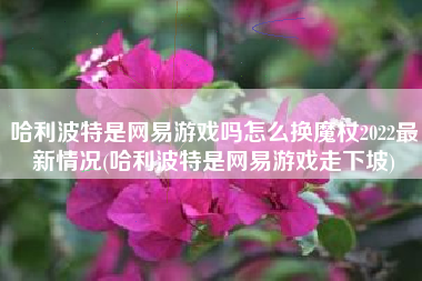 哈利波特是网易游戏吗怎么换魔杖2022最新情况(哈利波特是网易游戏走下坡)