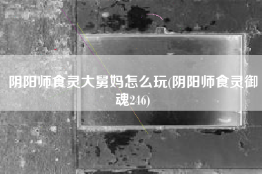 阴阳师食灵大舅妈怎么玩(阴阳师食灵御魂246)