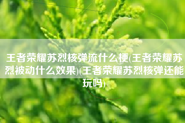 王者荣耀苏烈核弹流什么梗(王者荣耀苏烈被动什么效果)(王者荣耀苏烈核弹还能玩吗)