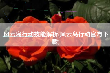 风云岛行动技能解析(风云岛行动官方下载)