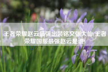 王者荣耀赵云最强出装铭文张大仙(王者荣耀国服最强赵云是谁)