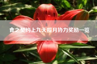 食之契约上九天揽月协力奖励一览