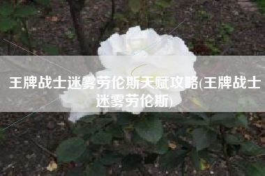 王牌战士迷雾劳伦斯天赋攻略(王牌战士迷雾劳伦斯)