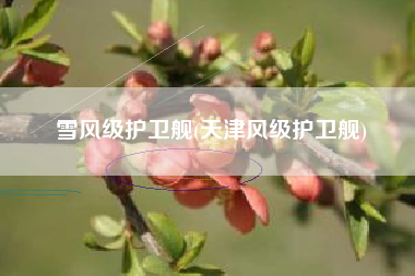 雪风级护卫舰(天津风级护卫舰)