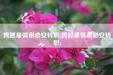 跨越星弧谢必安转职(跨越星弧谢必安转职)