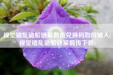 视觉错乱诡船谜案前传兑换码如何输入(视觉错乱诡船谜案前传下载)