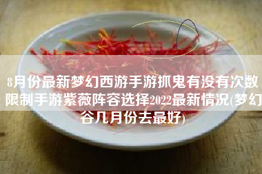 8月份最新梦幻西游手游抓鬼有没有次数限制手游紫薇阵容选择2022最新情况(梦幻谷几月份去最好)