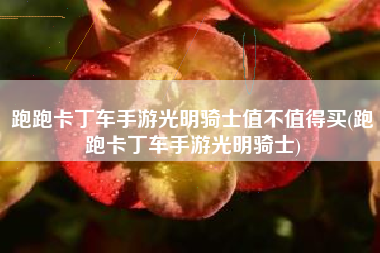跑跑卡丁车手游光明骑士值不值得买(跑跑卡丁车手游光明骑士)