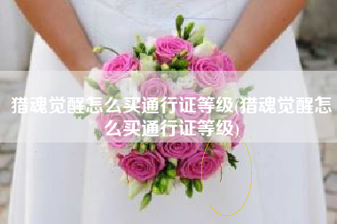 猎魂觉醒怎么买通行证等级(猎魂觉醒怎么买通行证等级)
