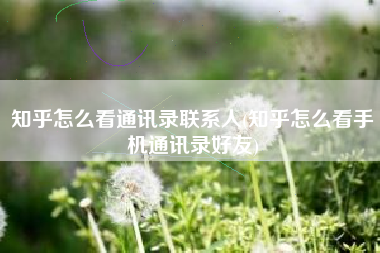 知乎怎么看通讯录联系人(知乎怎么看手机通讯录好友)