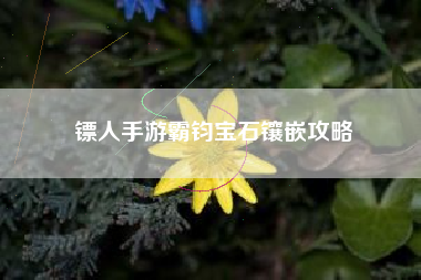 镖人手游霸钧宝石镶嵌攻略