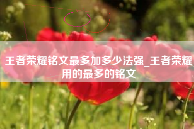 王者荣耀铭文最多加多少法强_王者荣耀用的最多的铭文