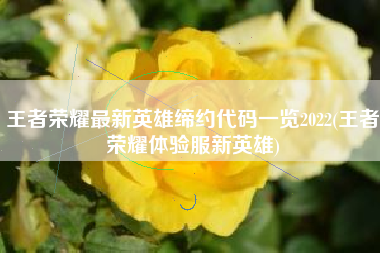 王者荣耀最新英雄缔约代码一览2022(王者荣耀体验服新英雄)