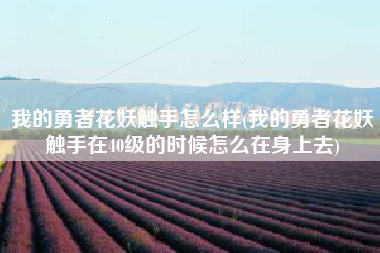 我的勇者花妖触手怎么样(我的勇者花妖触手在40级的时候怎么在身上去)