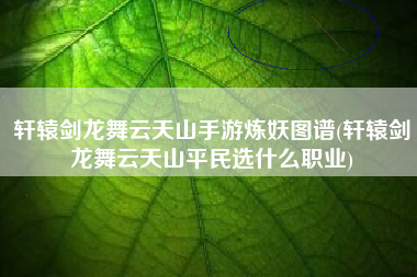 轩辕剑龙舞云天山手游炼妖图谱(轩辕剑龙舞云天山平民选什么职业)
