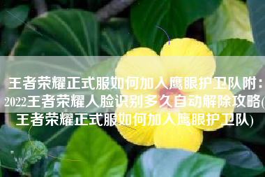 王者荣耀正式服如何加入鹰眼护卫队附：2022王者荣耀人脸识别多久自动解除攻略(王者荣耀正式服如何加入鹰眼护卫队)
