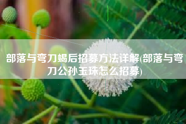 部落与弯刀蝎后招募方法详解(部落与弯刀公孙玉珠怎么招募)