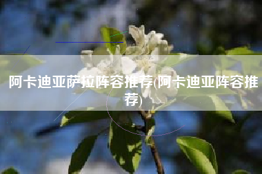 阿卡迪亚萨拉阵容推荐(阿卡迪亚阵容推荐)