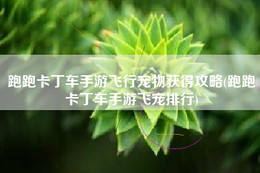 跑跑卡丁车手游飞行宠物获得攻略(跑跑卡丁车手游飞宠排行)