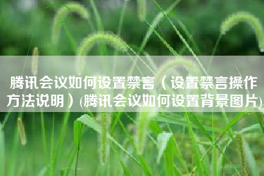 腾讯会议如何设置禁言（设置禁言操作方法说明）(腾讯会议如何设置背景图片)