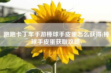 跑跑卡丁车手游棒球手皮蛋怎么获得(棒球手皮蛋获取攻略)