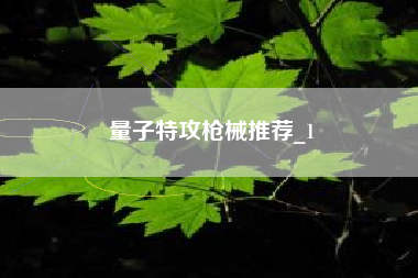 量子特攻枪械推荐_1