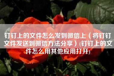 钉钉上的文件怎么发到微信上（将钉钉文件发送到微信方法分享）(钉钉上的文件怎么用其他应用打开)