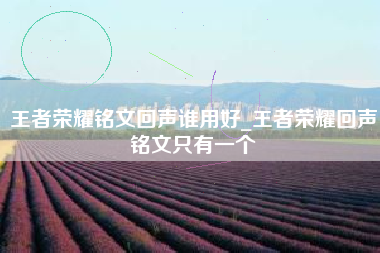 王者荣耀铭文回声谁用好_王者荣耀回声铭文只有一个