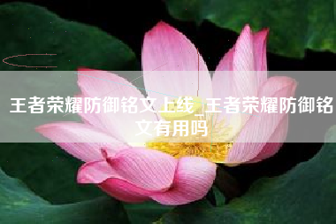 王者荣耀防御铭文上线_王者荣耀防御铭文有用吗