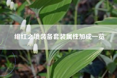 绯红之境装备套装属性加成一览