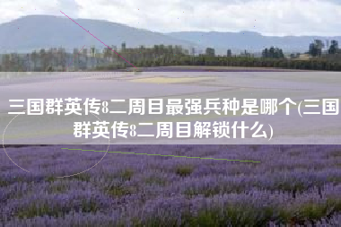 三国群英传8二周目最强兵种是哪个(三国群英传8二周目解锁什么)