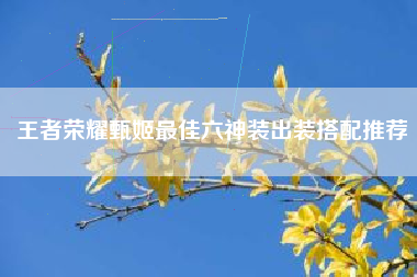 王者荣耀甄姬最佳六神装出装搭配推荐